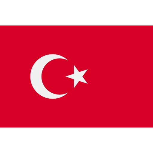 Türkçe